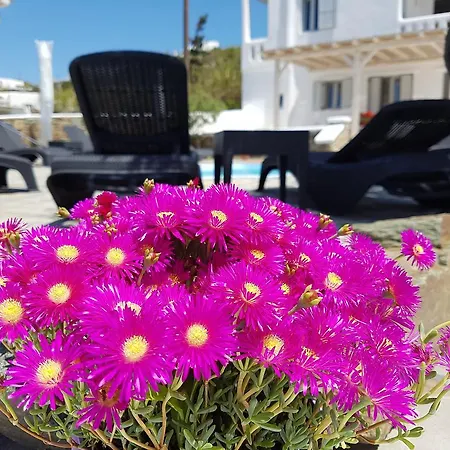 Pensión Varnali Small Boutique Mykonos Town